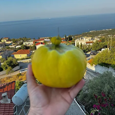 Apartment Emilios House *